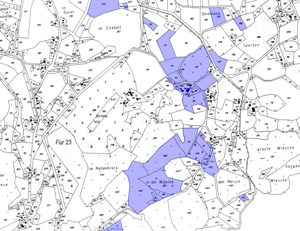 Ausschnitt Katasterkarte Westerwiehe